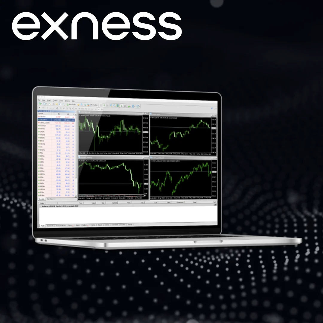 How To Lose Money With Reviews Of Exness From Real Traders